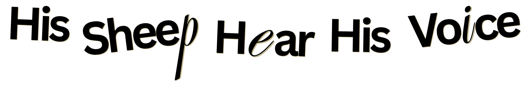 text His sheep hear His voice