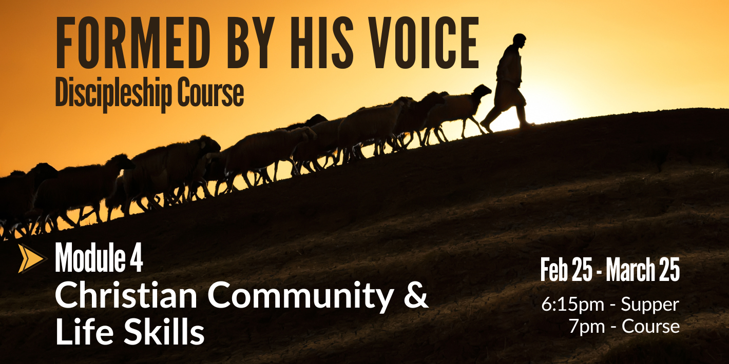 McKernan Abound Module 4