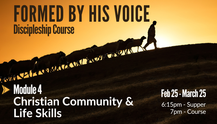 McKernan Abound Module 4