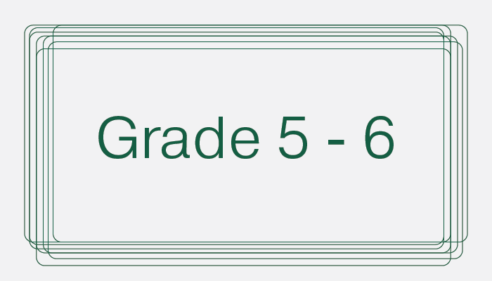 grades 5-6
