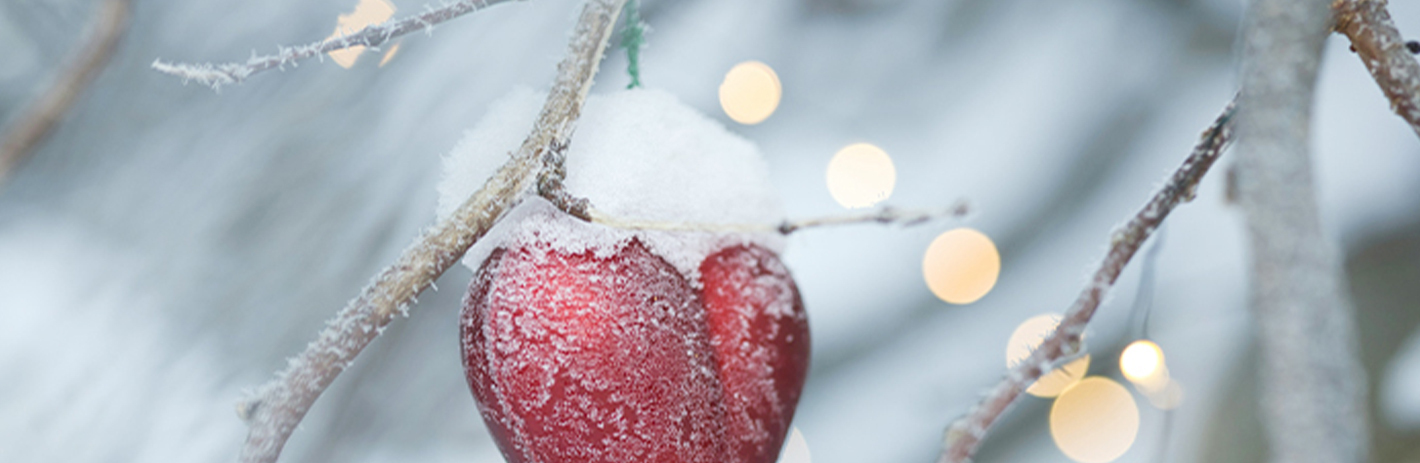 Christmas Heart